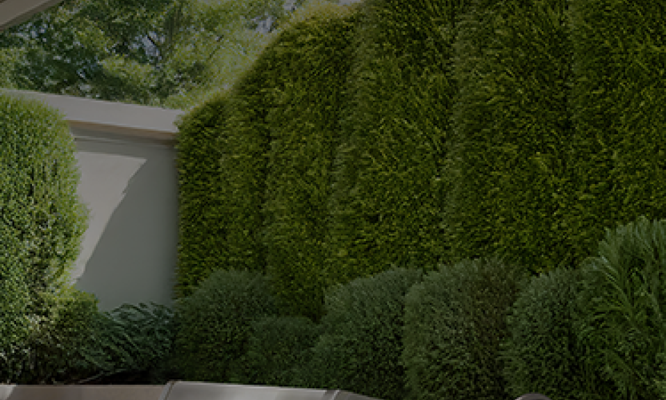 Crossray_Easter Promo_Ignite Website_Mobile Banner_720 x 375